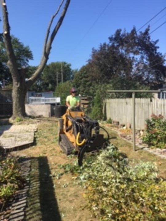 Cut Rite Tree Service Fulton, IL