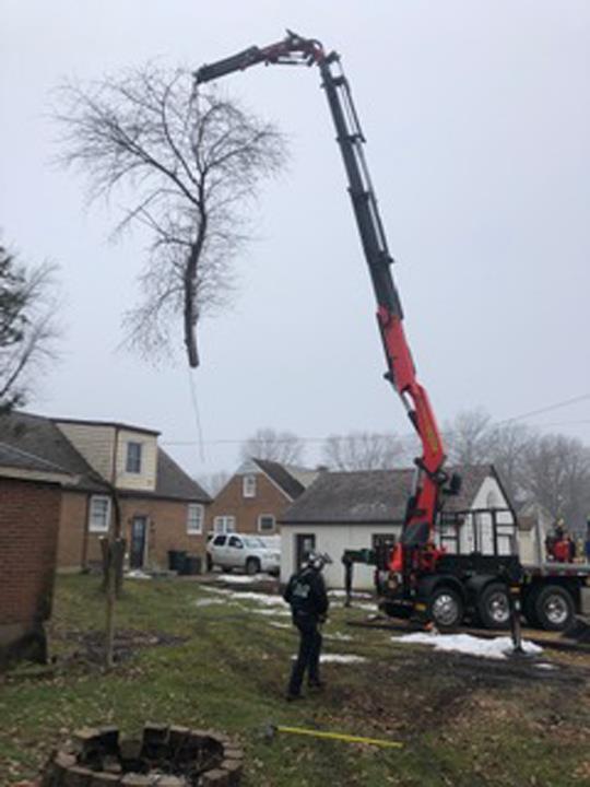 Cut Rite Tree Service Fulton, IL